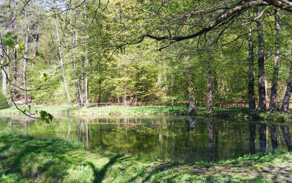 „Dolina Trzech Młynów” od dekady kusi turystów