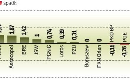 Bank handlowy był liderem wzrostu wśród firm z wig20