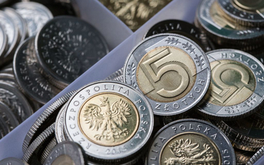 Polska waluta pozostaje w Unii Europejskiej