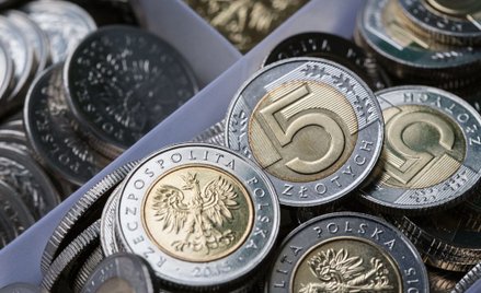 Polska waluta pozostaje w Unii Europejskiej