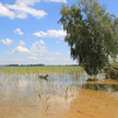 Świtaź, jezioro krasowe na Polesiu Wołyńskim