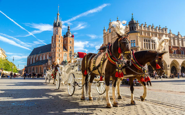 Decyzja prokuratury w sprawie koni dorożkarskich w Krakowie