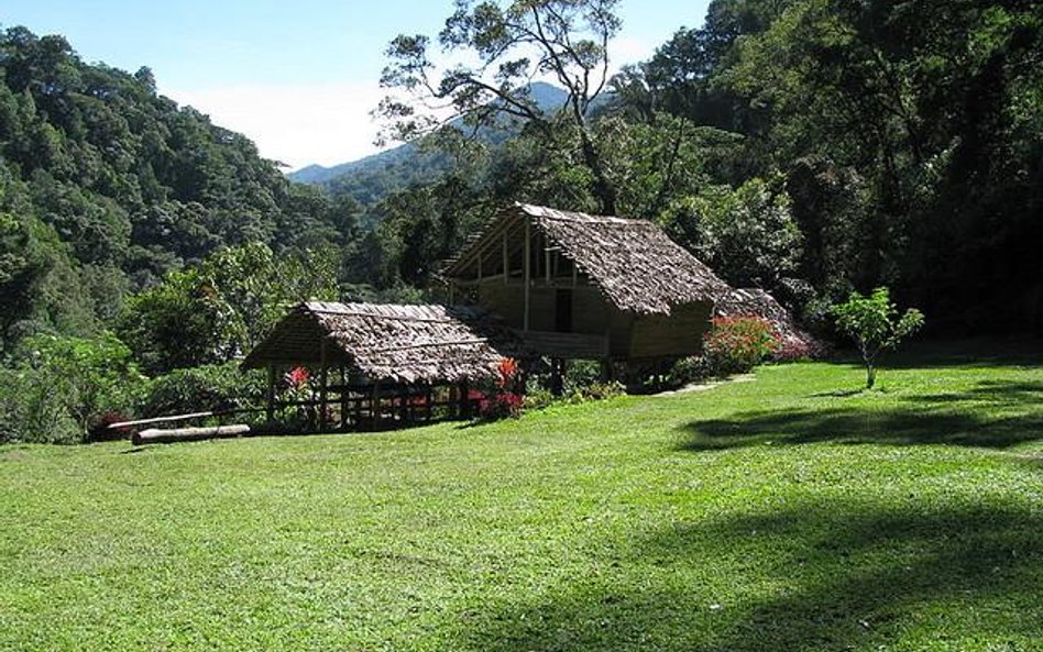 Papua-Nowa Gwinea. Fot. Arthur Chapman