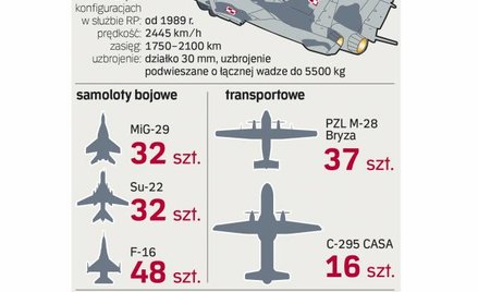 Stare samoloty w polskiej armii