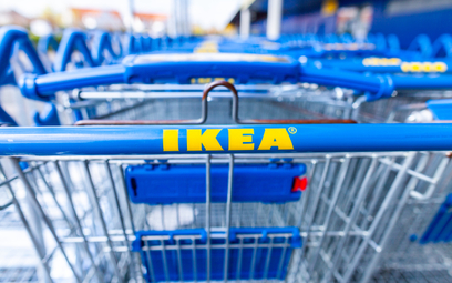 IKEA wycofuje z rynku popularną zabawkę dla dzieci. "Ryzyko zadławienia"