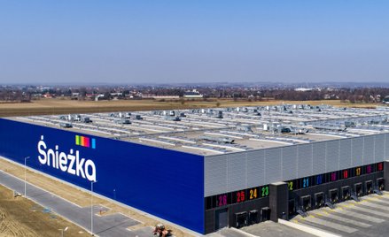 Rentowność Śnieżki pod presją kosztów