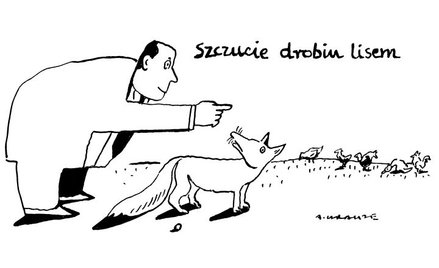 Rysuje Andrzej Krauze