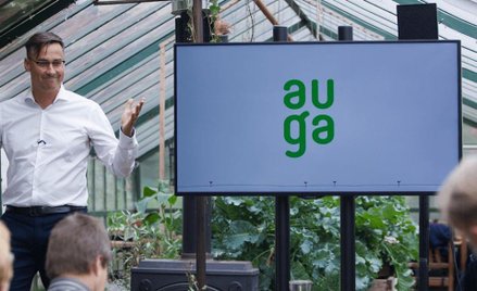 Auga: American dream