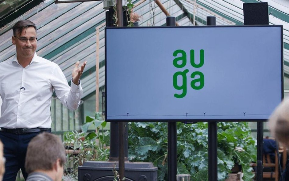 Auga: American dream