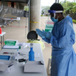 Gwinea: Nowy przypadek wirusa Ebola