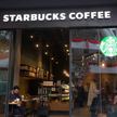 Ekolodzy walczą ze Starbucksem o jajka z humanitarnych hodowli