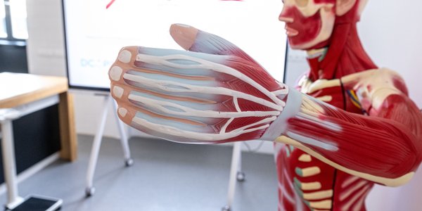 Record 49 applicants per place on Polish medical degree courses in 2025