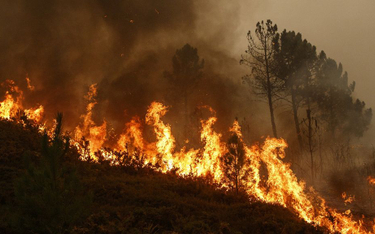 Szwecja: Las podpalony przez niesprawne hamulce pociągu