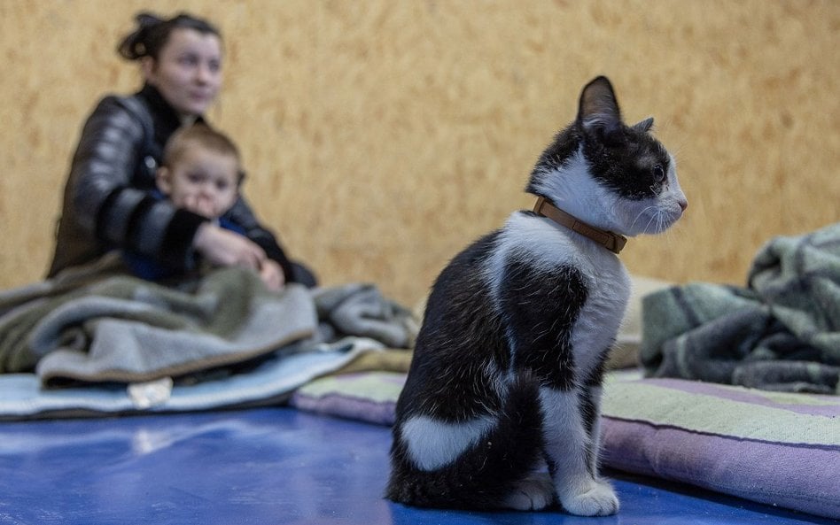 Niemal co piąty Ukrainiec twierdzi, że w celu jak najszybszego zakończenia wojny i zachowania ukraiń