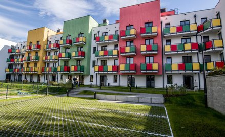 Warszawa chwali się, że w ramach wieloletniego programu w latach 2018-2025 przygotowano do najmu łąc