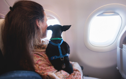 Psia karma na pokładach samolotów i menu tylko dla wybranych pasażerów