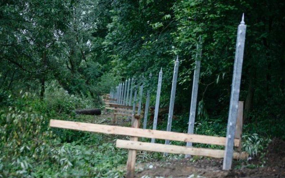 Skarb Państwa pozwany o miliony za lasy