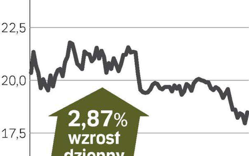 GDF Suez – spółka, o której się mówi w Paryżu