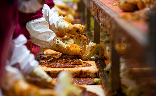 Pracownicy sezonują kimchi na linii produkcyjnej w fabryce Pulmuone Co. w Iksan w Korei Południowej