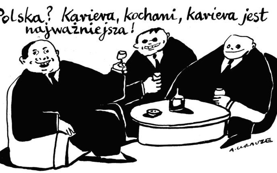 Komentarz rysunkowy. Kariera