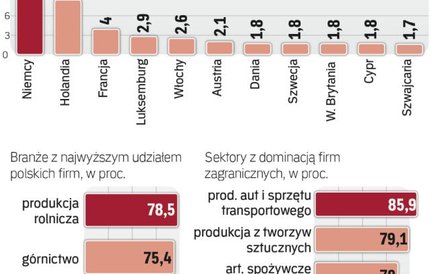 Mocna pozycja kapitału zagranicznego
