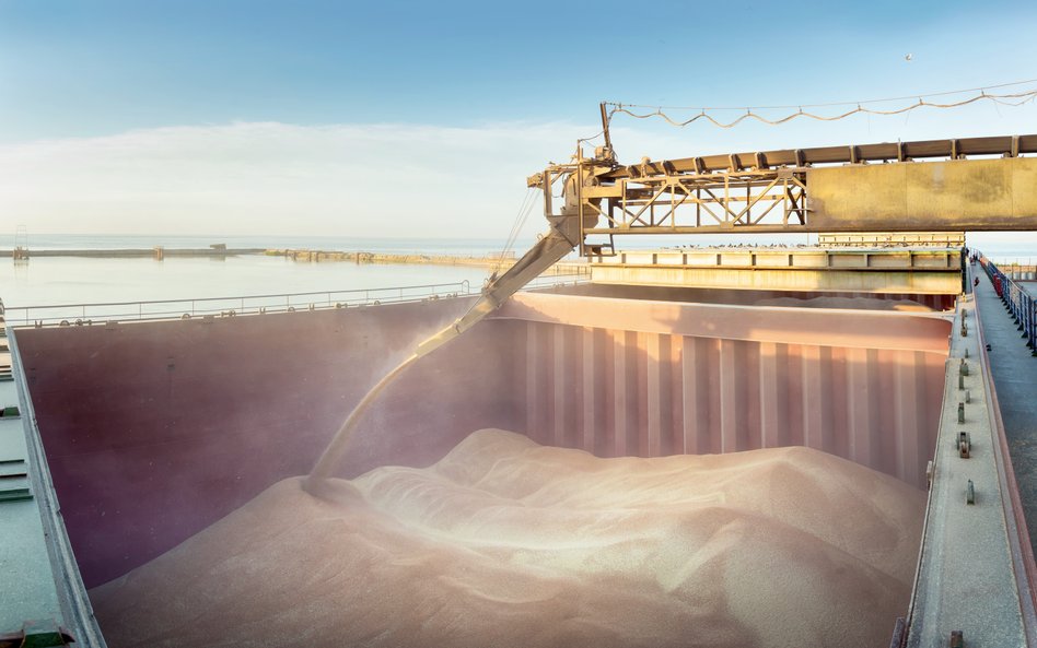 Nowy przetarg na agroterminal w Gdyni