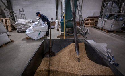 Eksport zboża z Ukrainy. Niemcy będą współpracować z Polską i Rumunią