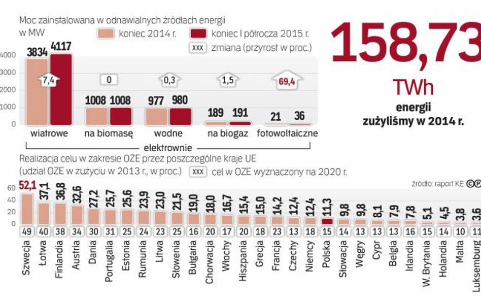 KE ostrzegła w czerwcowym raporcie, że Polska i Węgry Mogą nie wypełnić celów w zakresie OZE na 2020