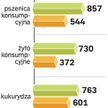 Zboże