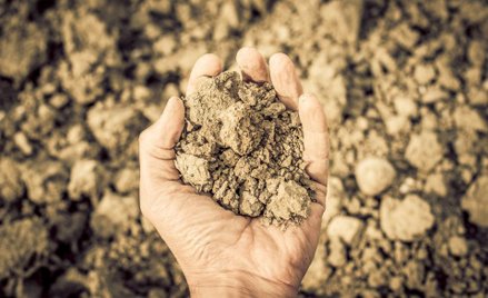 Instytut Upraw Nawożenia i Gleboznawstwa: W Polsce nie ma suszy rolniczej