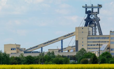 Wyższe ceny węgla nie wystarczą. Negatywne prognozy dla Bogdanki
