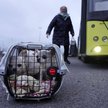 Szereg procedur dla czworonożnych uchodźców z Ukrainy