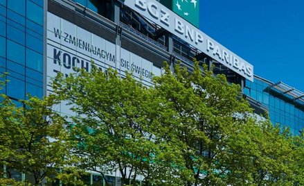 Bank wraca na ścieżkę wzrostu