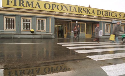 Dębica z niższym zyskiem