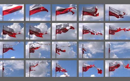 Krzysztof Wojciechowski-Streszczenie, 2007 r.