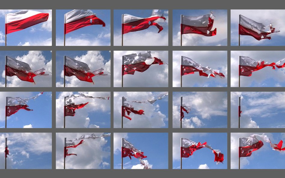 Krzysztof Wojciechowski-Streszczenie, 2007 r.