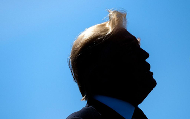 "Ten człowiek jest nieprzewidywalny". Trump zszokował Danię