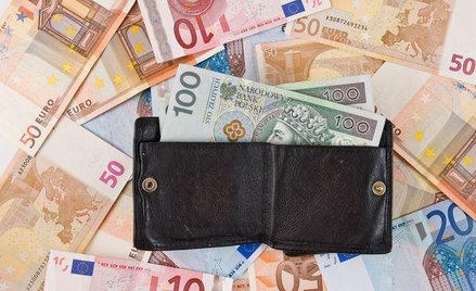 Jak rozliczyć pożyczkę od zagranicznego udziałowca