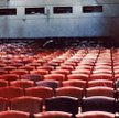 Kocham kino — hołd dla magii srebrnego ekranu