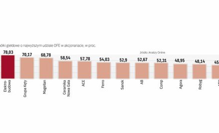 Gdyby akcje z portfeli OFE przejął ZUS, te spółki stałyby się państwowe