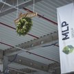 Wiecha na hali w MLP Pruszków II
