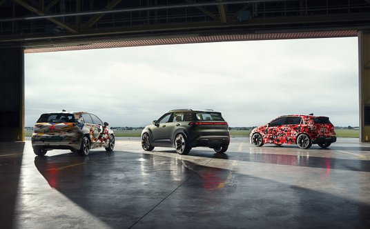 Gama elektrycznych modeli koncernu VW do 25 tys. euro.