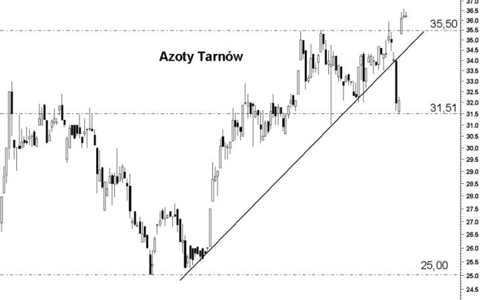 Azoty Tarnów Byki nie dają za wygraną