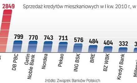 Banki, które pożyczyły najwięcej