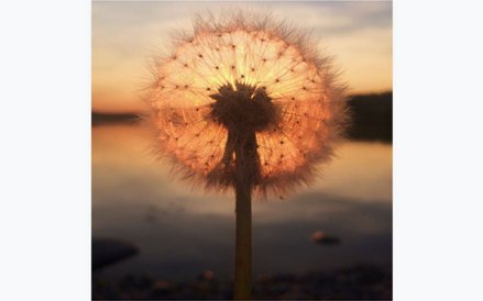 1. miejsce: Sara Ronkainen