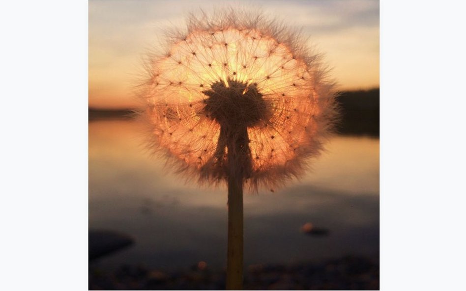 1. miejsce: Sara Ronkainen