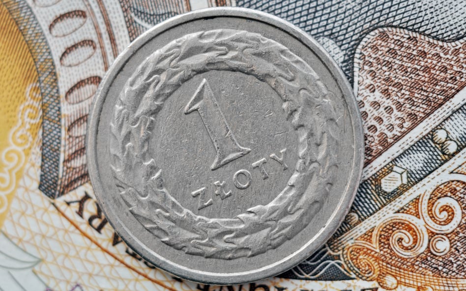 Złoty kontynuuje rajd. Euro najniżej od ponad siedmiu lat