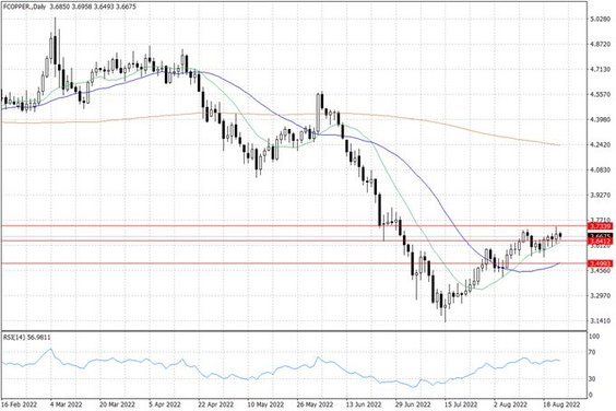 Notowania miedzi w USA – dane dzienne