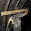 Górniczy Titanic gra do wyborów prezydenckich