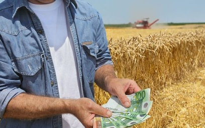 W 2017 wzrasta limit zarobków dla dorabiających rolników